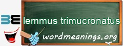 WordMeaning blackboard for lemmus trimucronatus